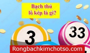 Bạch thủ lô kép