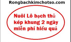 Nuôi bạch thủ lô kép khung 2 ngày