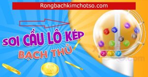 Soi cầu lô kép 366