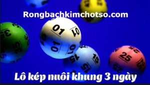 Bạch thủ lô kép khung 3 ngày