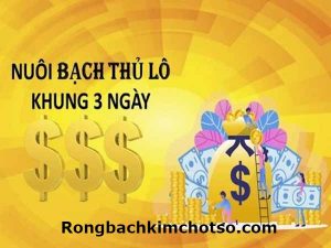 Lô bạch thủ khung 3 ngày