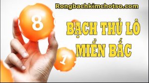 Bạch thủ lô miễn phí