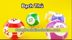 Bạch thủ lô ăn bao nhiêu