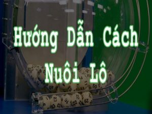 Cách nuôi lô khung