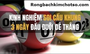 Đầu đuôi nuôi khung 3 ngày