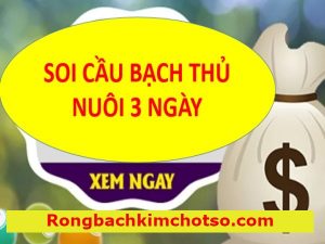 Bạch thủ lô khung 3 ngày