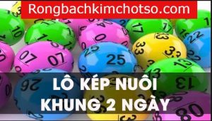 Nuôi lô kép khung 2 ngày