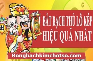 Lô kép miền bắc