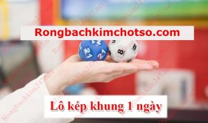 Bạch thủ lô kép khung 1 ngày