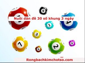 Nuôi dàn đề 30 số