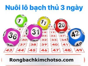 Nuôi bạch thủ lô khung 3 ngày