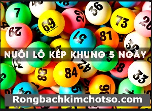 Nuôi lô kép khung 5 ngày