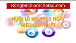 Bạch thủ lô kép khung 5 ngày