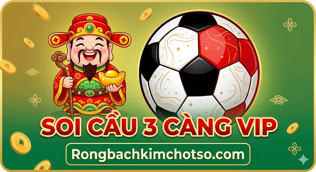 Soi Cầu 3 Càng VIP