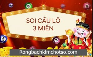 Soi cầu xổ số 3 miền