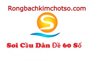 Dàn đặc biệt 60 số