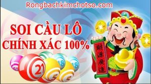 Soi cầu lô Vip chính xác