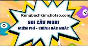 Soi cầu mobi