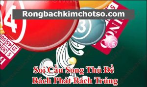 Song thủ đề vip miền bắc