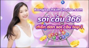 Soi cầu 366 xổ số miền bắc