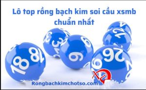 Lô top đẹp rồng bạch kim