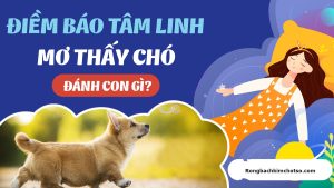 Mơ thấy chó