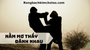 Mơ thấy đánh nhau đánh con gì?