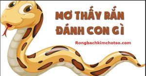 Mơ thấy rắn đánh con gì