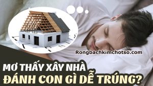 Mơ thấy xây nhà đánh số gì