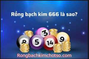 Rồng bạch kim 666