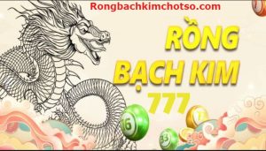 Soi cầu lô rồng bạch kim 777