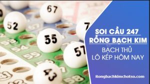 Soi cầu 247 rồng bạch kim