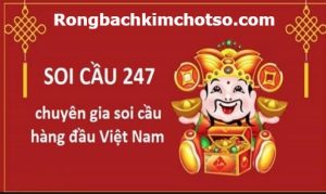 Soi cầu 247