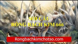 Soi cầu rồng bạch kim 666