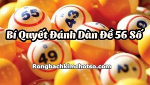 Dàn đề 56 số bất bại