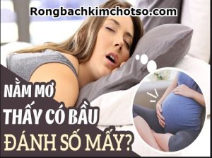 Mơ thấy có bầu đánh con gì?