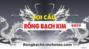 Soi cầu rồng bạch kim 8899