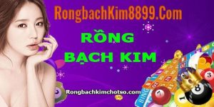 Soi cầu rồng bạch kim 8899 miền bắc