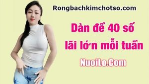 Dàn đề 40 số rồng bạch kim