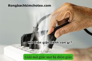 Mơ thấy điện giật đánh con gì?