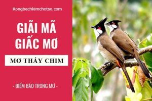 Nằm mơ thấy chim