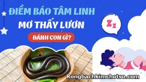 Mơ thấy lươn đánh con gì