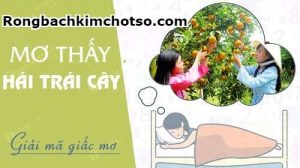 Nằm mơ thấy trái cây