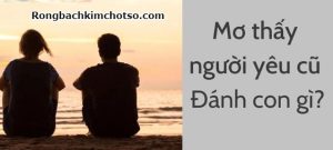 Mơ thấy người yêu cũ đánh con gì