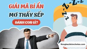 Mơ thấy sếp đánh con gì?