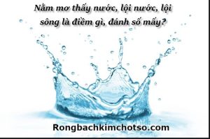 Mơ thấy tắm đánh con gì