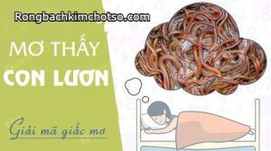 Mơ thấy lươn