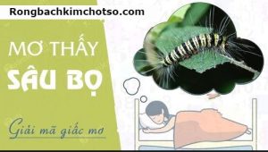 Nằm mơ thấy sâu bọ