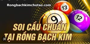 Soi cầu rồng bạch kim 8899 miễn phí