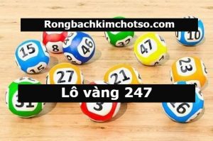 Soi cầu lô vàng 247